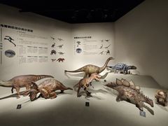 -自贡恐龙博物馆