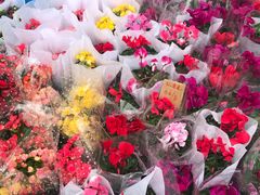 -重庆市江北嘴中央商务区中央公园