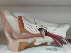 -海之声助听器无锡旗舰中心·儿童验配中心