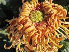-国家植物园