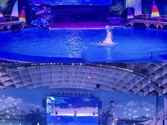 -海合安武汉极地海洋公园