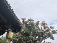 -茅山东方盐湖城景区