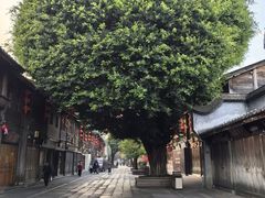 -三坊七巷历史文化街区