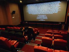 -卢米埃影城(合生广场IMAX店)