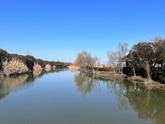 -泗洪洪泽湖湿地景区