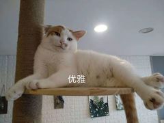 -平行世界·猫咖(首经贸店)