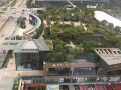 -深圳星河丽思卡尔顿酒店