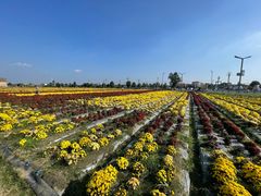 -中国天府农业博览园