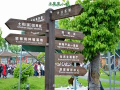 路标-米果果小镇