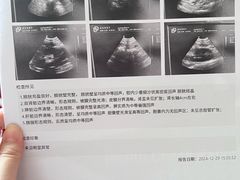 -瑞鹏宠物医院·内科·中兽医·骨科(苗圃店)