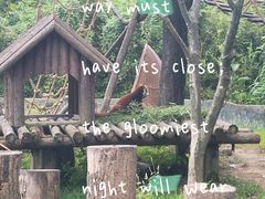 -宁波野生动物园