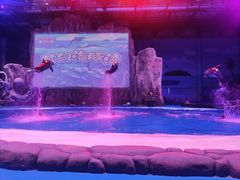 -华夏文旅海洋公园