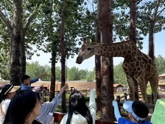 -大连森林动物园