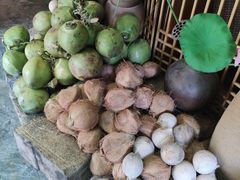 -探窝·竹笙椰子鸡(杨箕店)