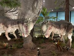 -湖南省地质博物馆