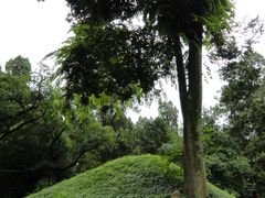 -武侯墓风景区