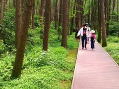 -同里国家湿地公园