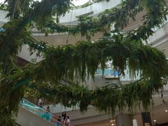 -凯德广场(学府店)