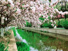 -元大都城垣遗址公园