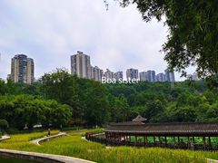 -龙头寺公园