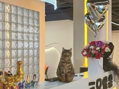 -THREE MONSTERS三只怪兽健身工作室(钟楼店)