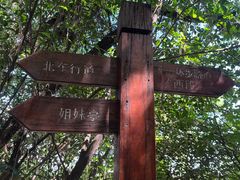 -仙岳公园