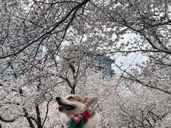 -西北湖绿化广场