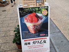 -浅草莓座(あさくさいちござ)