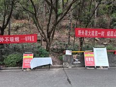 -南山植物园