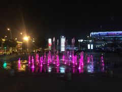 -紫荆广场·花漫里