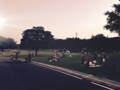 -东莞植物园