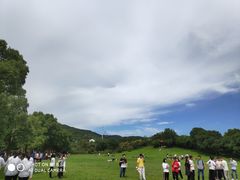 -雨花胜境