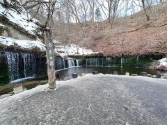 -宫城藏王狐狸村