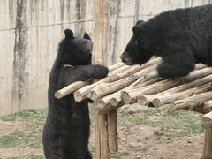 -唐猫庭院·千年陕菜(大唐不夜城店)