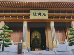 -深圳仙湖植物园