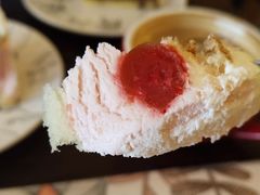 -名猫咖啡馆·撸猫·拼豆