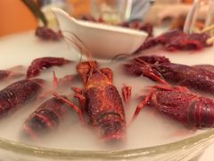 -红盔甲·小龙虾(天钥桥店)