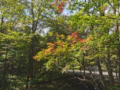 -关门山森林公园