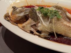 -百富源·海鲜辽菜(张士店)