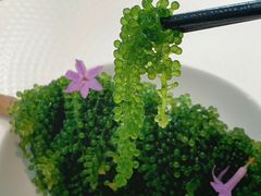 -上蔬无瑕· 创意素食·Vegetarian(华采天地店)