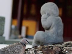 -龙华寺