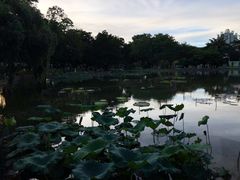 -星巴克(深圳前海企业公馆店)
