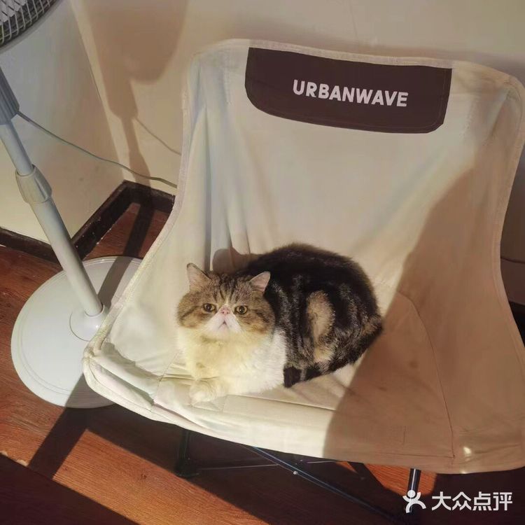 还有意境的手冲咖啡店