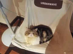 -参差咖啡(水果湖公园店)