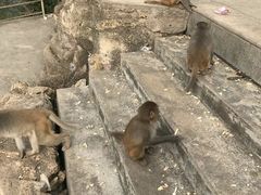 -广州市流溪河国家森林公园
