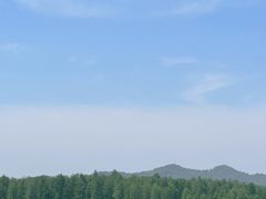 -四明山国家森林公园