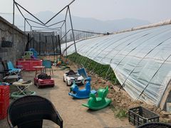 -大自然农场蔬菜草莓采摘园
