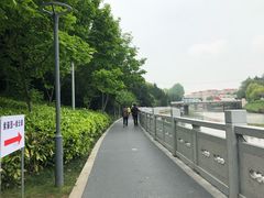-嘉定紫藤园