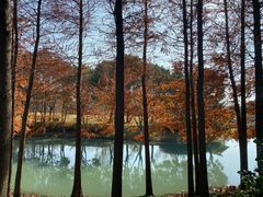 -尚贤河湿地