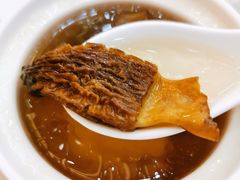 羊肚菌鸡汤-轩记海鲜餐厅·四十五年老字号·经典粤菜(西区彩虹店)